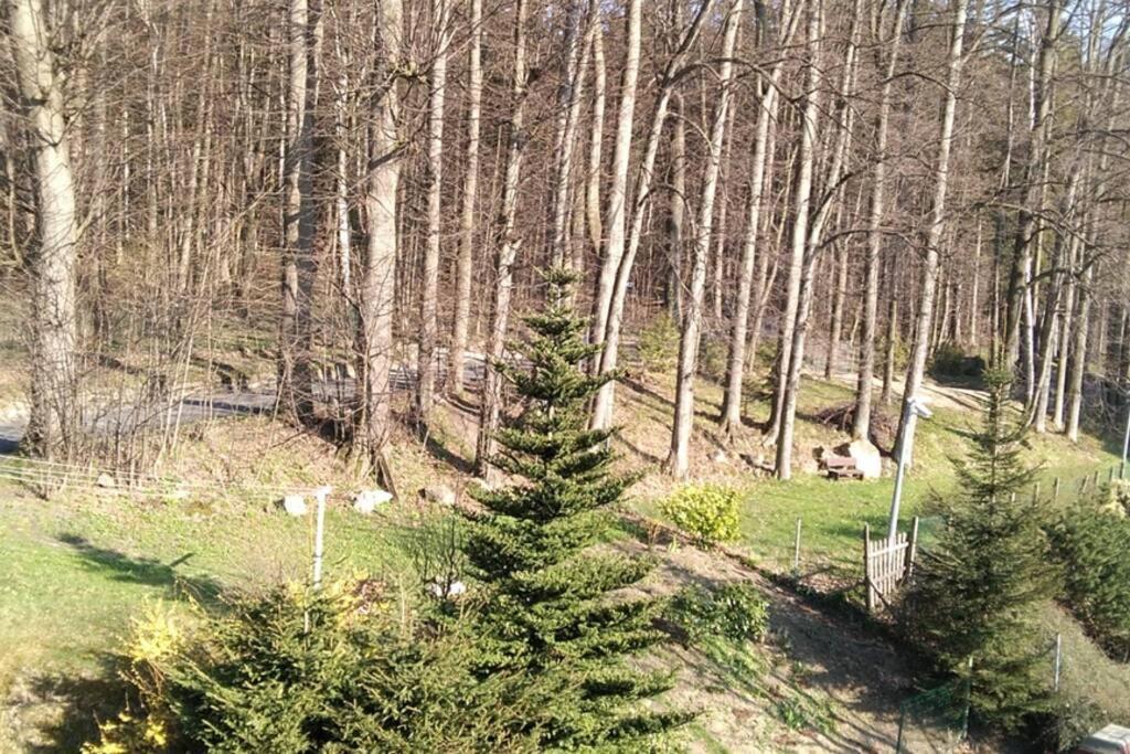 Nowoczesne Mieszkanie Blisko Natury I Sklepu Biedronka Karpacz Exterior photo